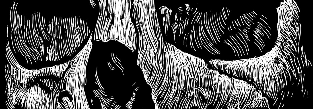 Trail of Destruction – Part 2